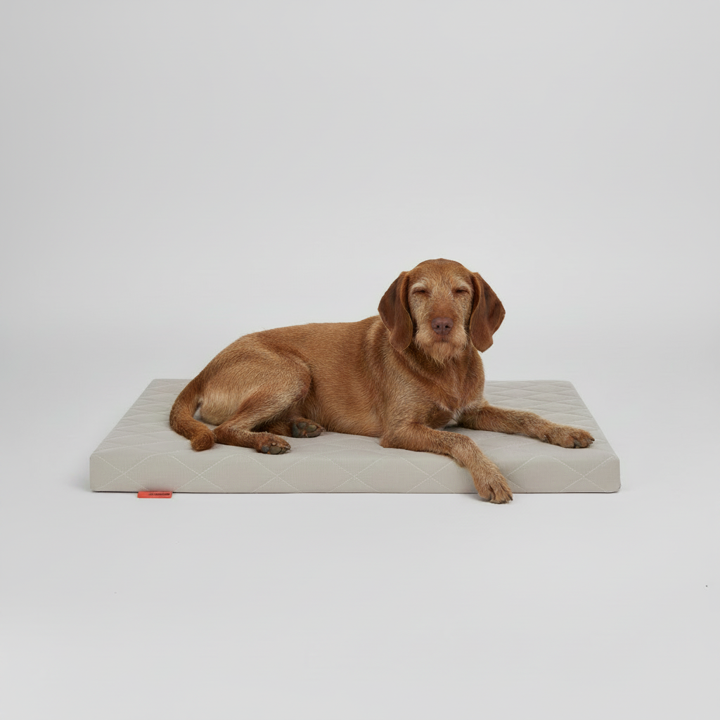 Dog bed FLAT - Sahara