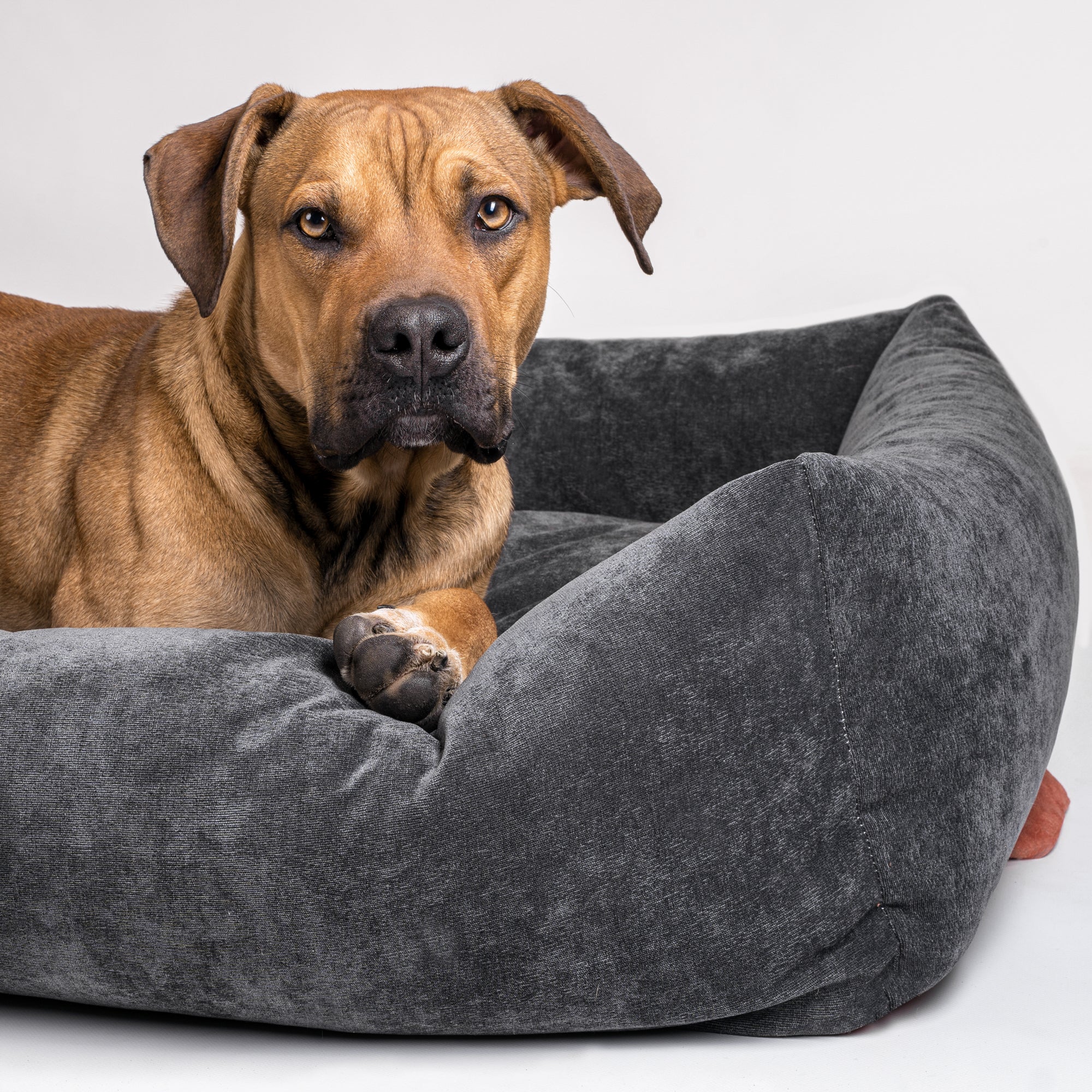 Hundebett Camo, Samt Anthrazit