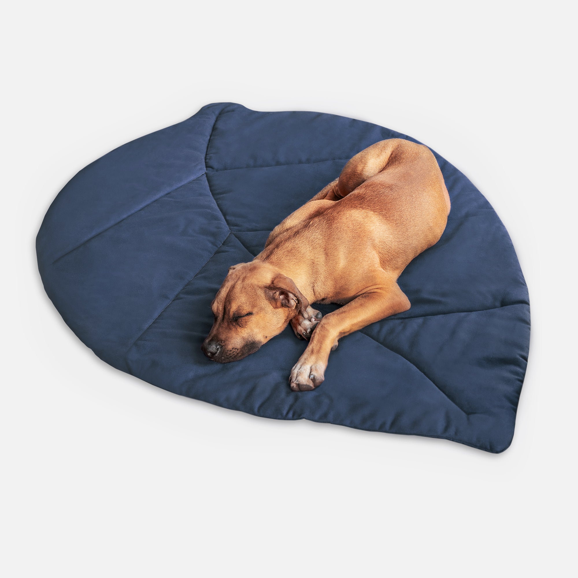 Dog mat LEAF, Atlantik
