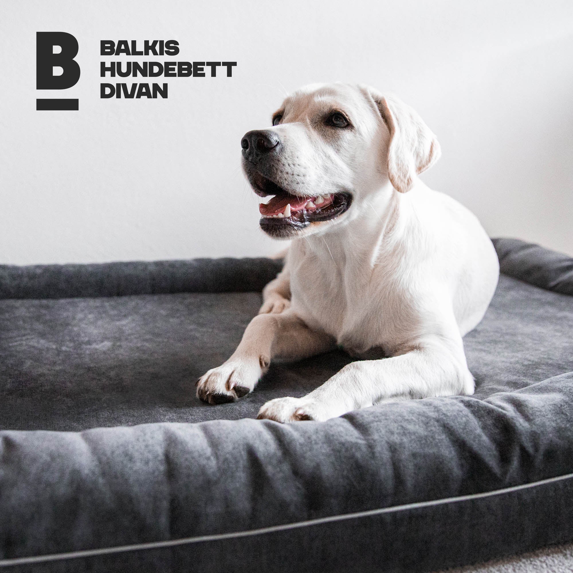 Dog bed Divan - anthracite