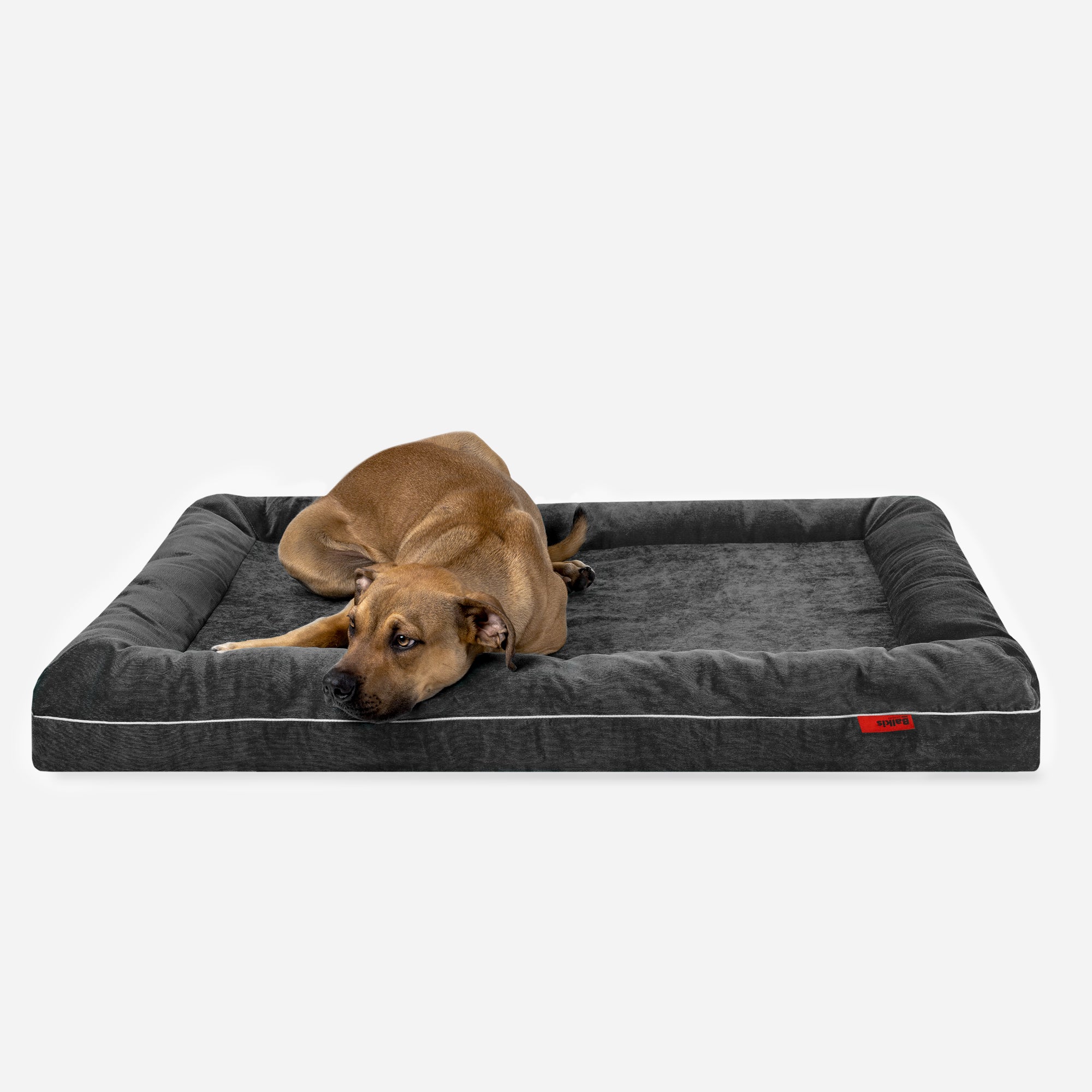 Dog bed Divan - anthracite