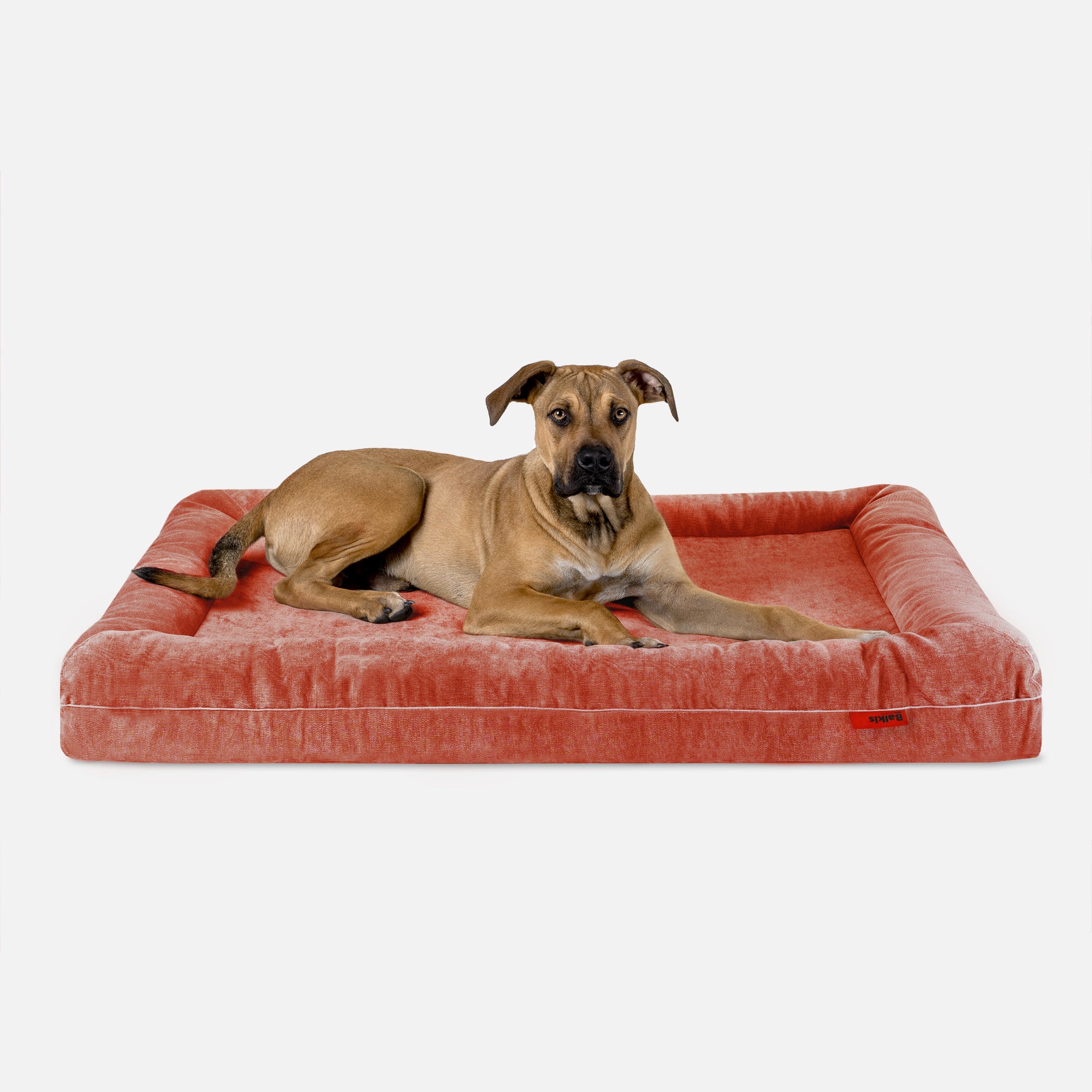 Dog bed divan - terracotta