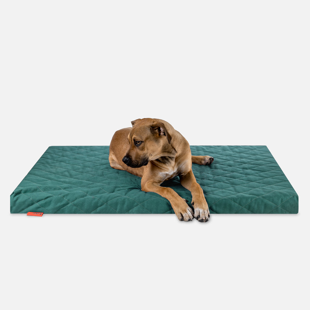 Hundebett FLAT