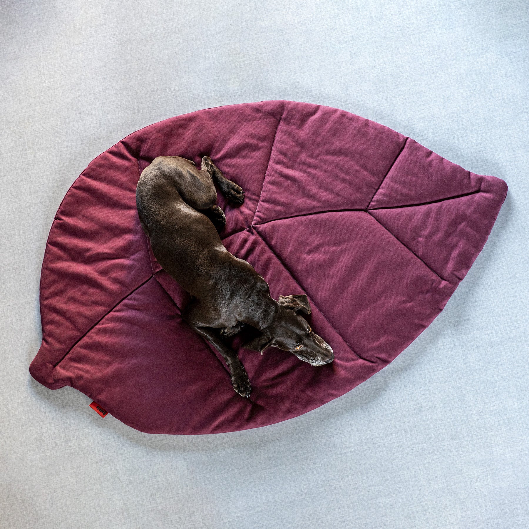 Dog mat LEAF, Bordeaux