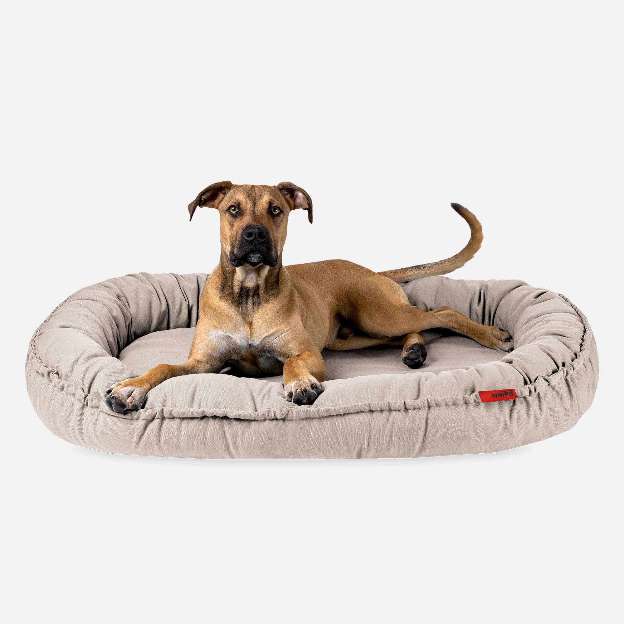 Dog bed NIDOG, Sahara