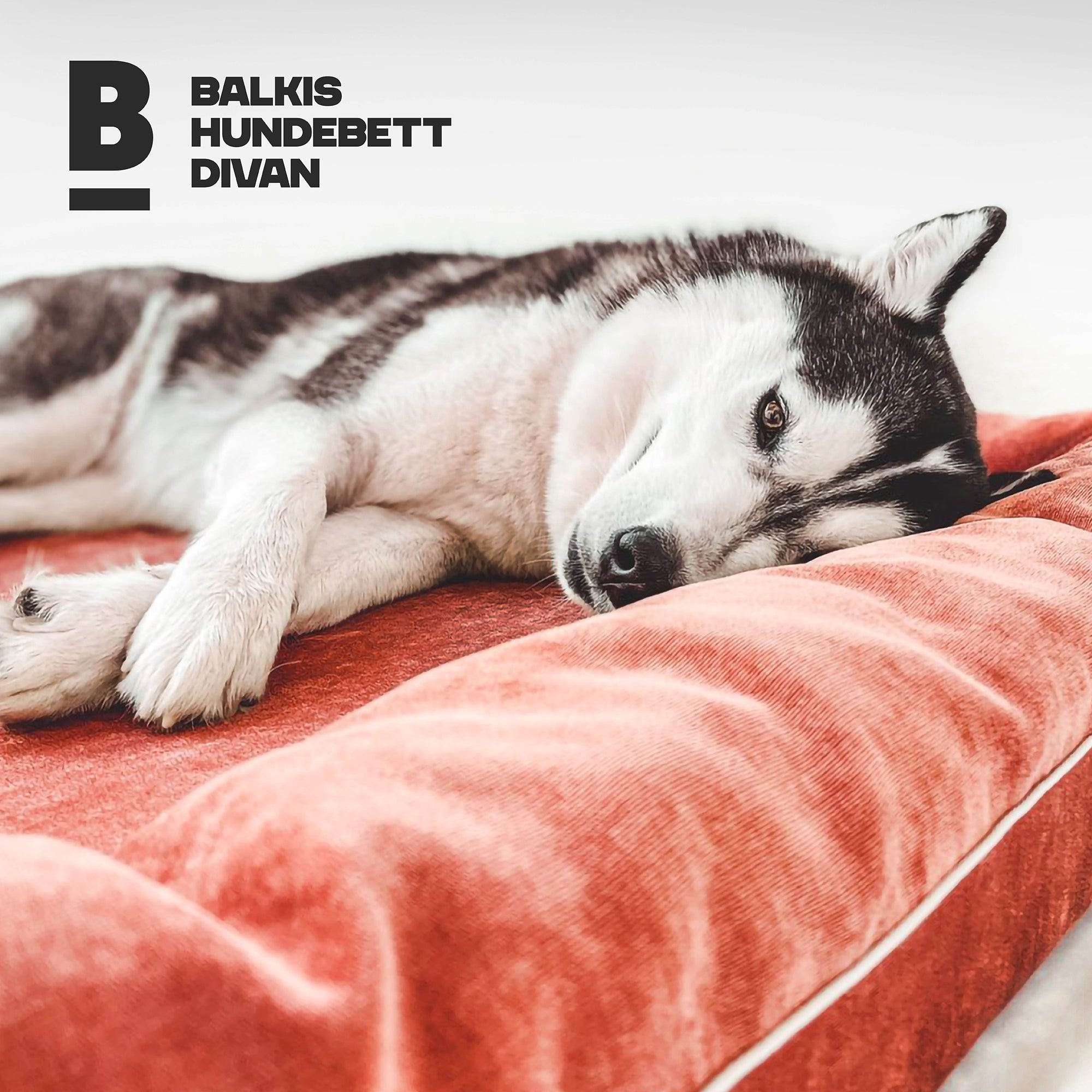 Dog bed divan - terracotta