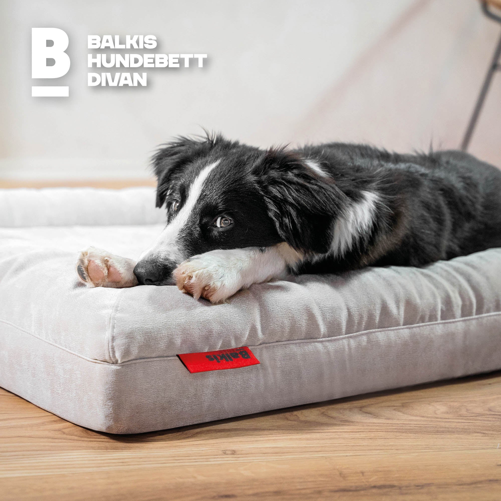 Hundebett Divan - Wüstensand