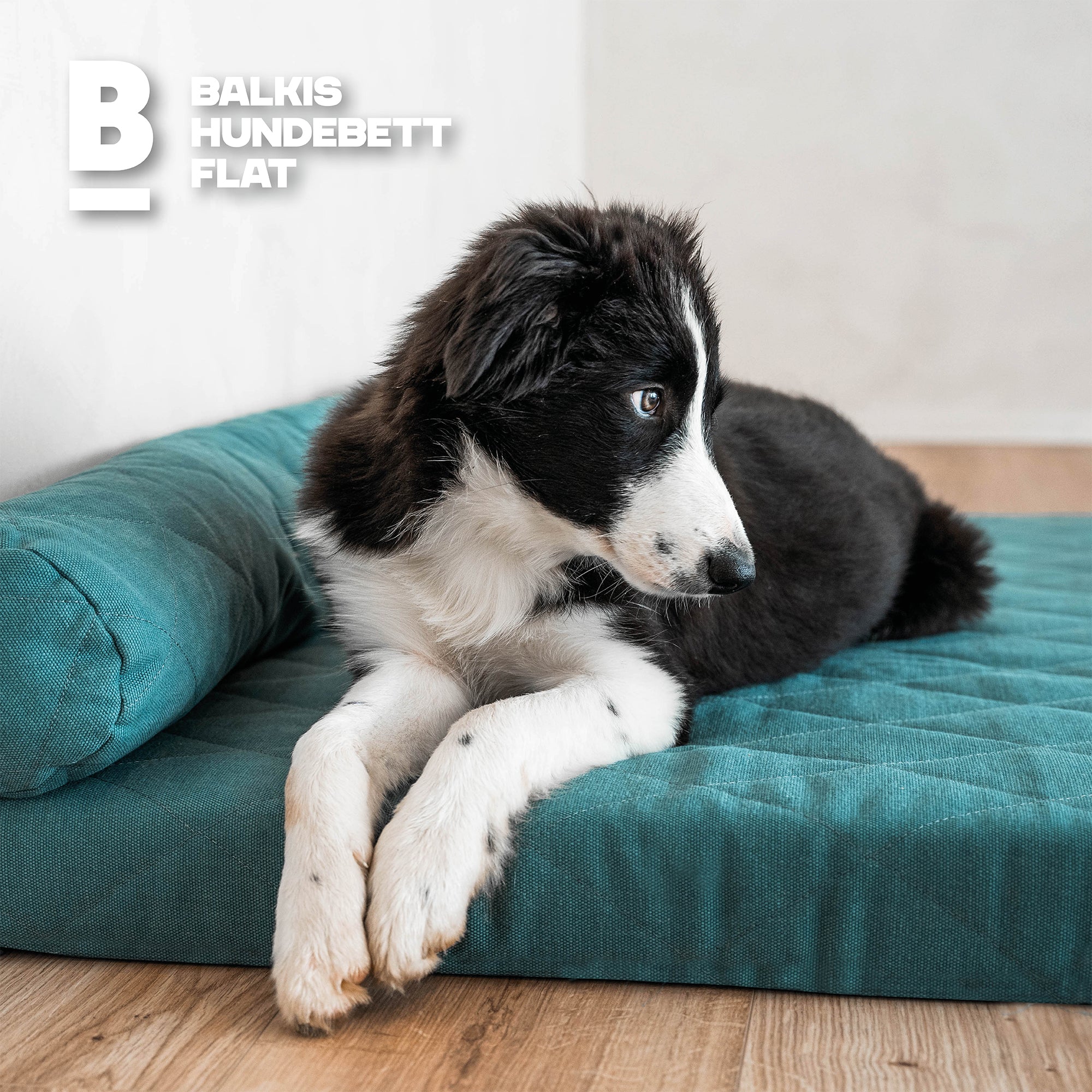 Dog bed FLAT - Amazon
