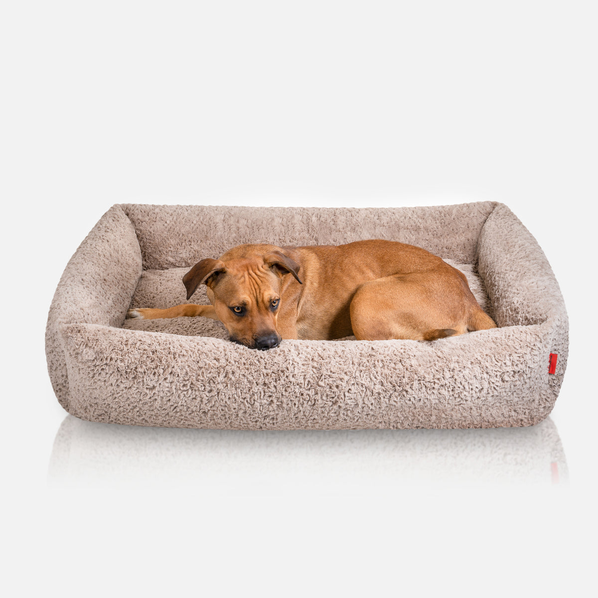 Large camo top dog bed