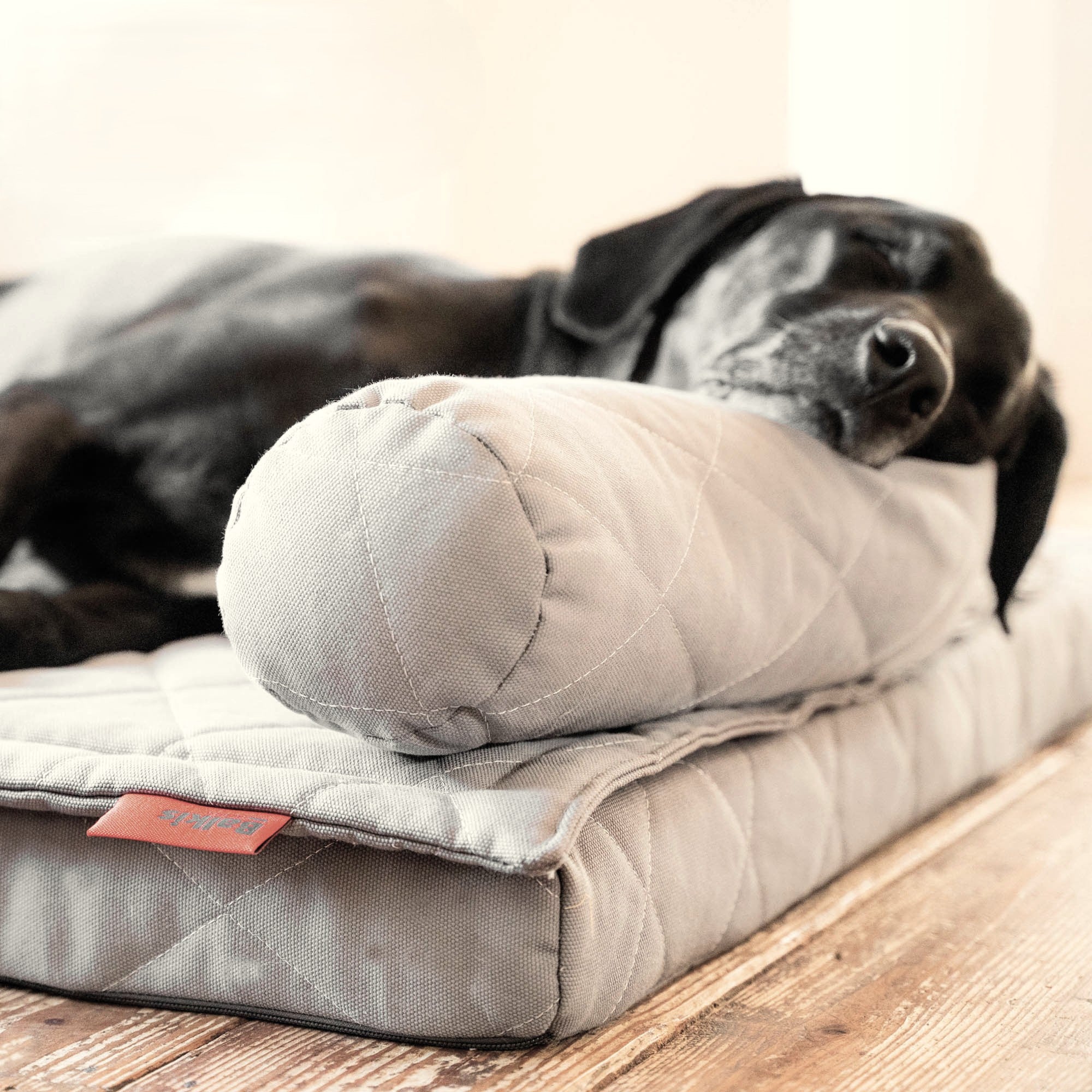 Dog bed FLAT - Sahara