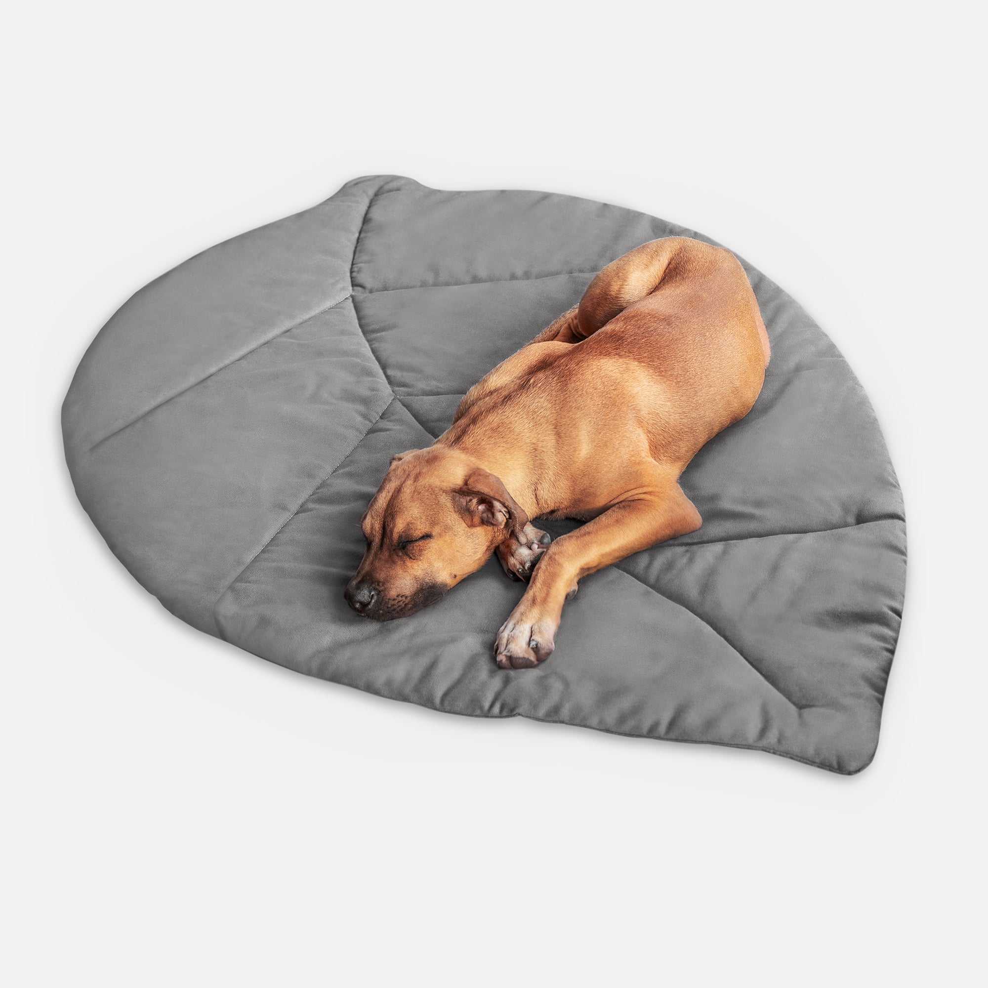 Dog mat LEAF, Steingrau