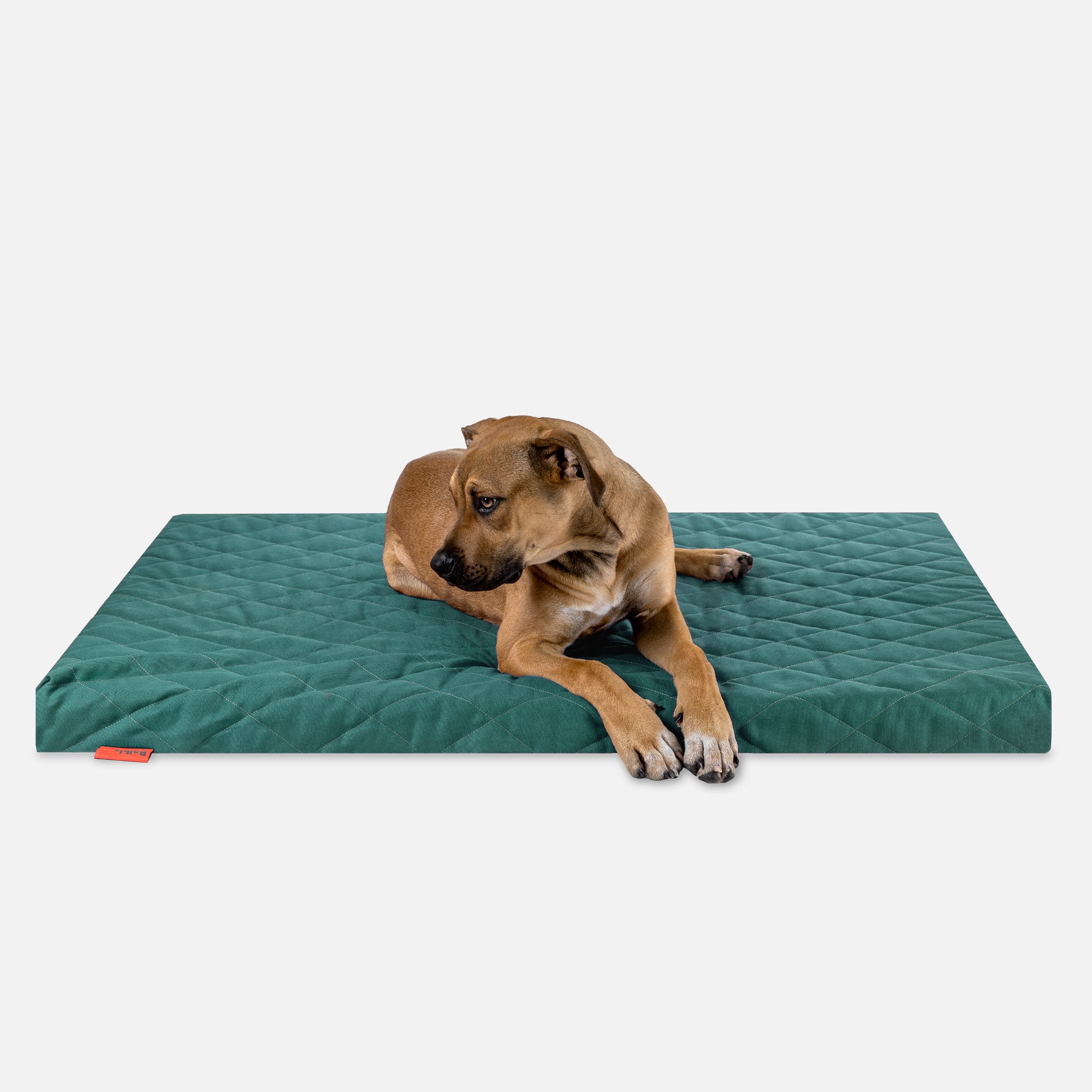 Dog bed FLAT - Amazon