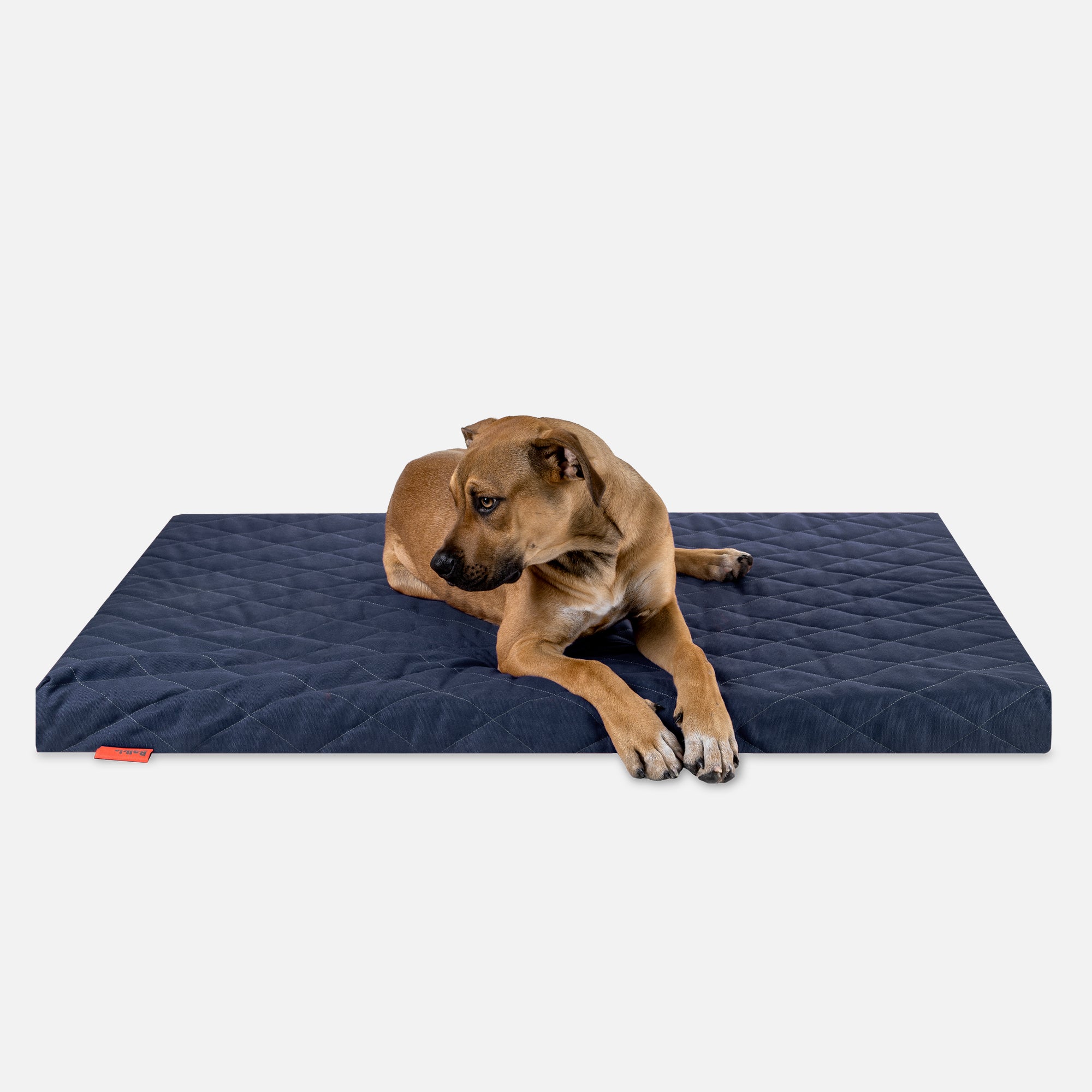 Dog bed FLAT, Atlantic