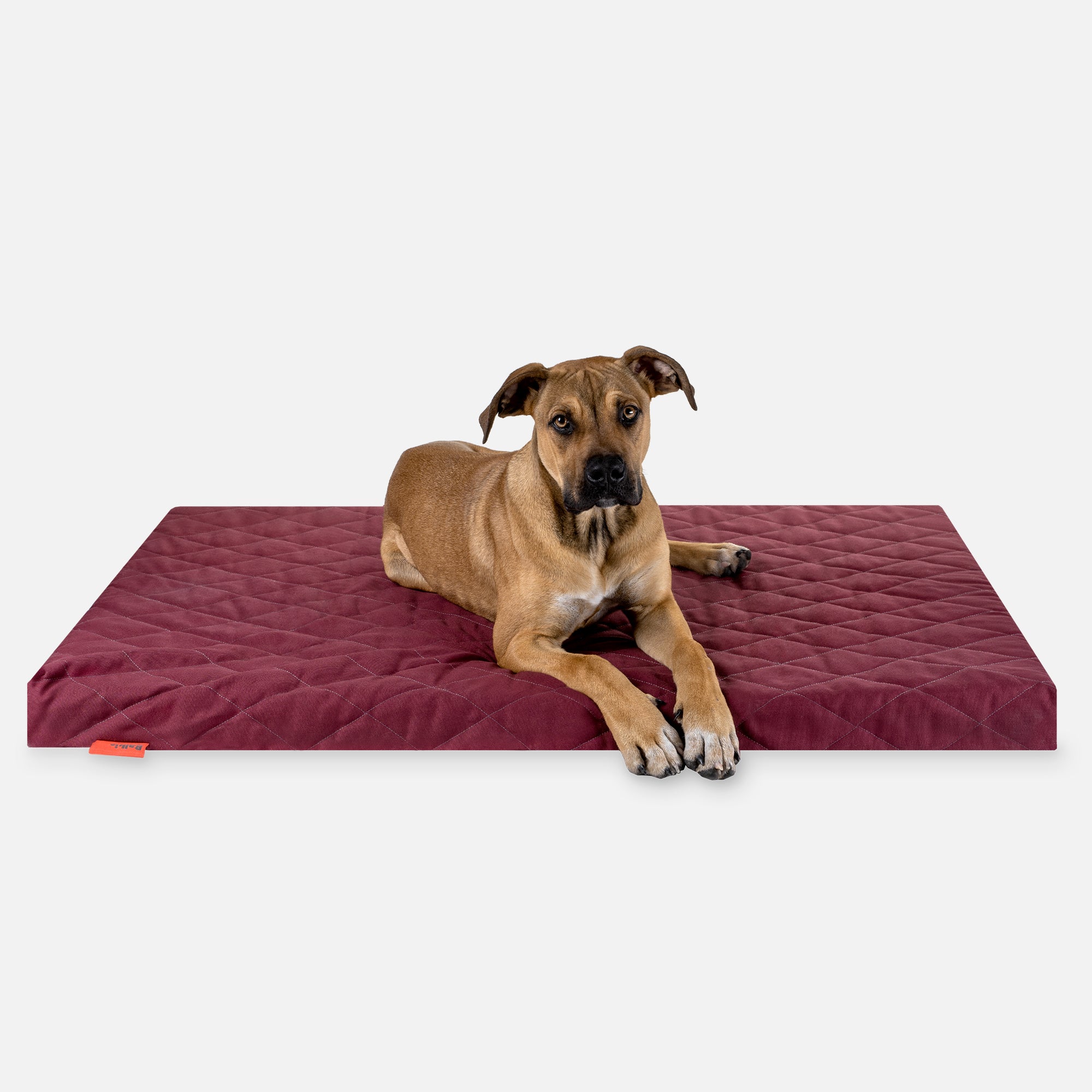 Dog bed FLAT, Bordeaux