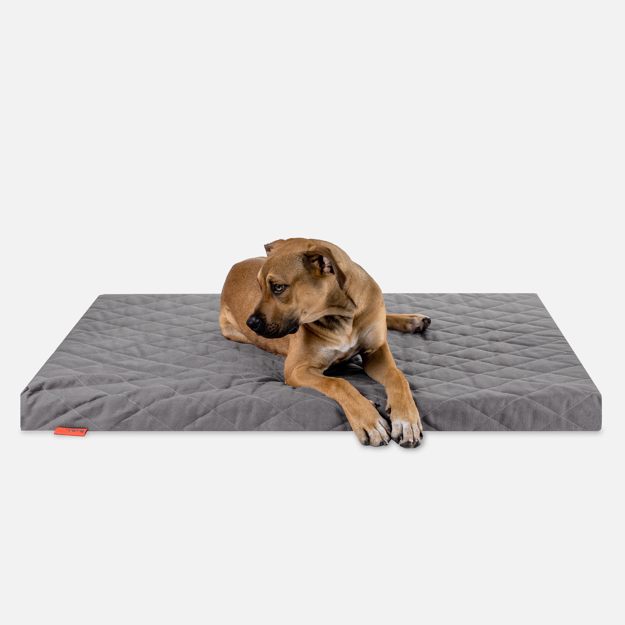 Dog bed FLAT, stone grey
