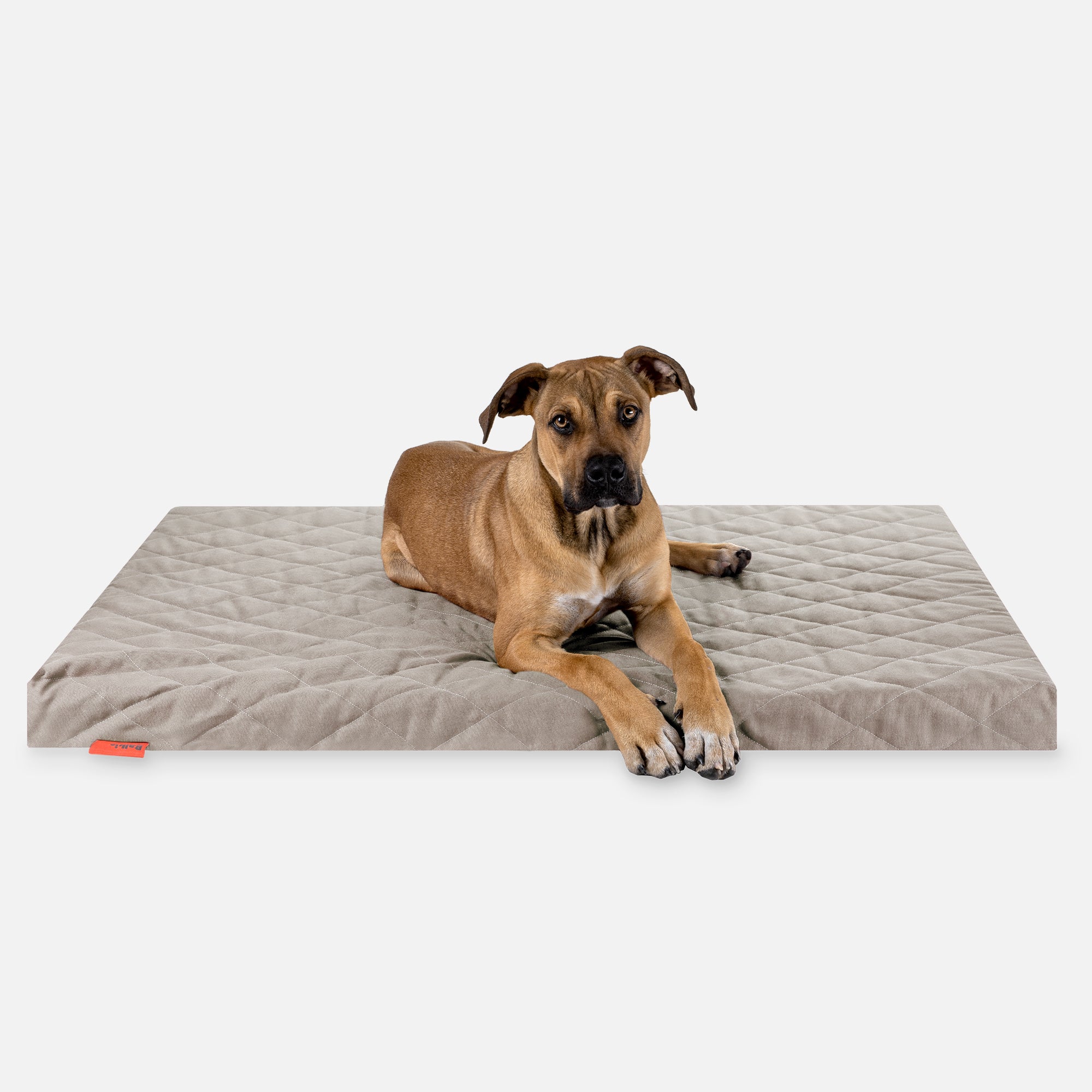 Dog bed FLAT - Sahara