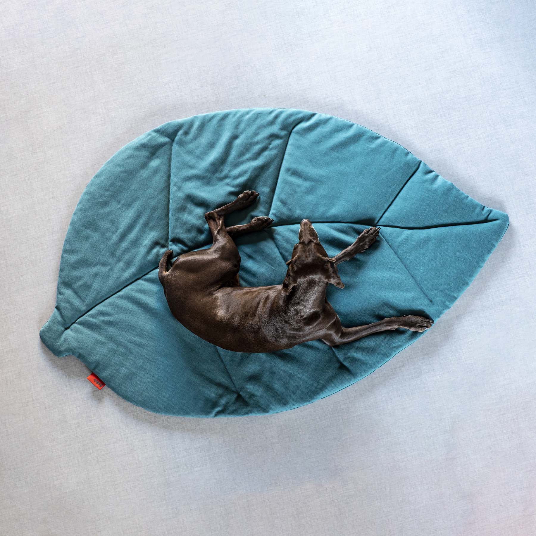 Dog mat LEAF, Amazonas