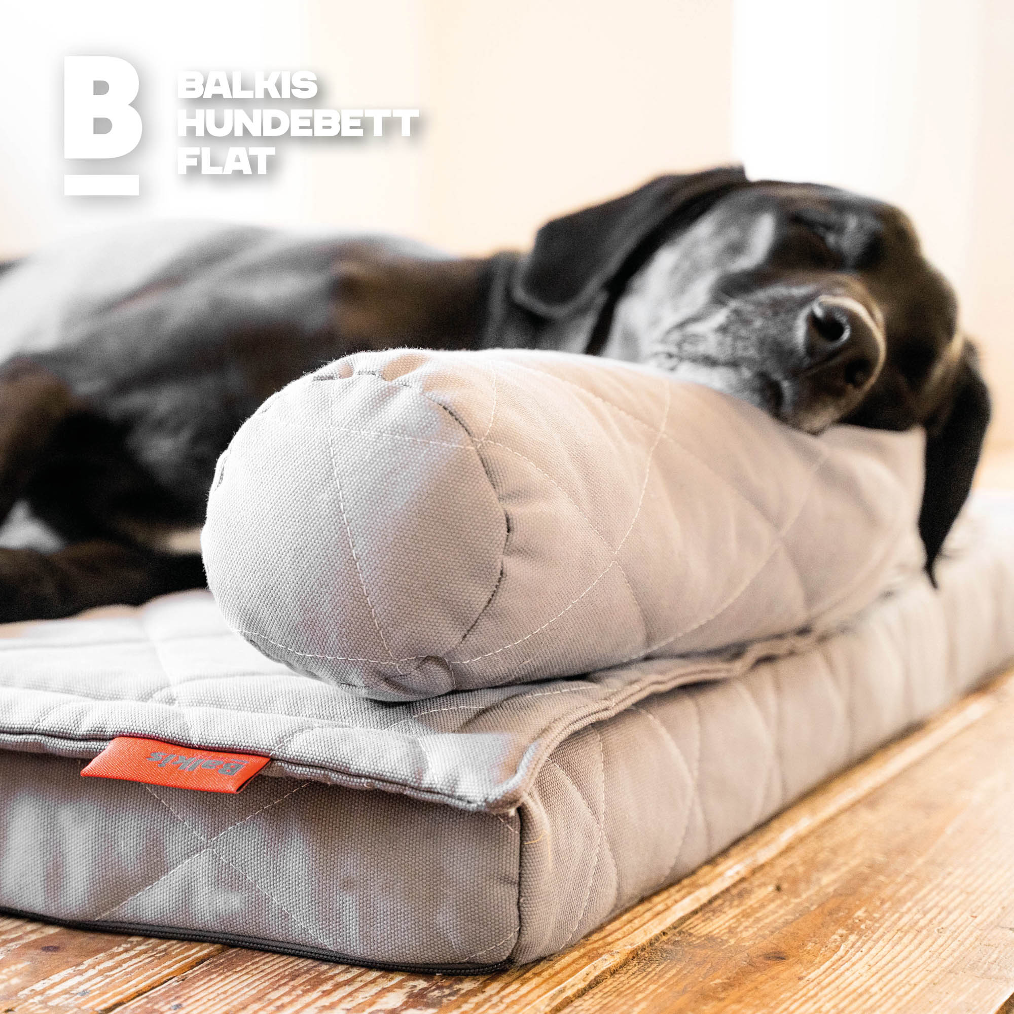 Hundebett FLAT - Sahara